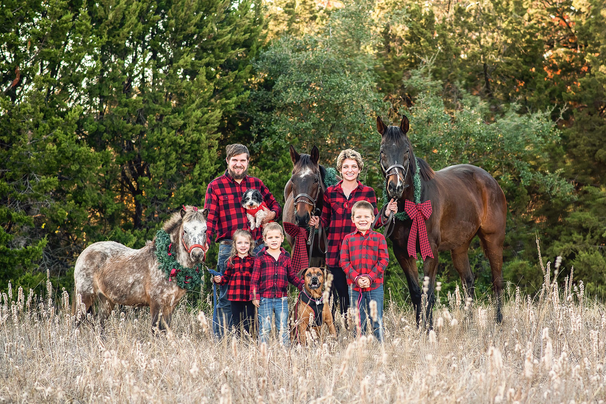 A family of five stand on the edge of a forest in tall grass with their two horses, donkey, and three dogs in Christmas outfits waco christmas tree farm